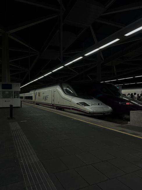 Train à grande vitesse AVE à quai dans une gare