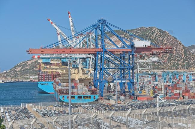 Porte-conteneurs et portiques de manutention dans le port de Tanger Med