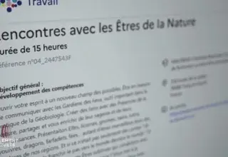 Formation elfes et gnomes France Travail