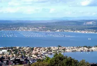 Les conchyliculteurs peuvent seulement commercialiser les huîtres et les moules 