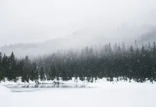 Paysage de montagne enneigé avec forêt de cèdres