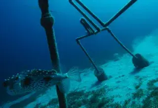 Câble sous-marin à fibre optique en mer, infrastructure numérique stratégique