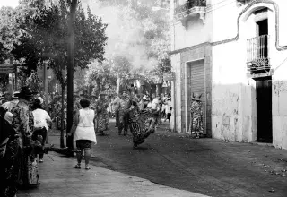 Incendie de forêt ravageant la végétation d'un massif en Catalogne