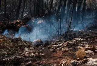 Scène post-incendie avec fumée s'élevant de terres brûlées et d'arbres calcinés en Algérie