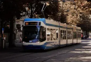 Un tramway moderne circule dans une rue bordée d'arbres
