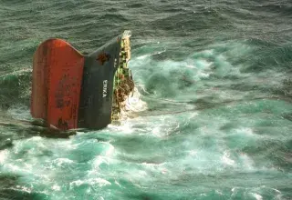 Des oiseaux marins mazoutés ont été retrouvés en Bretagne. Les analyses évoquent un lien possible avec le naufrage de l’Erika, 26 ans après.