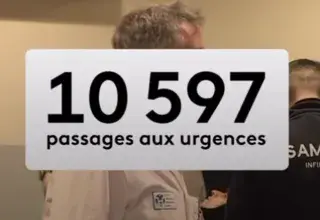 Variant k de la grippe en France 