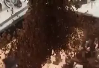 Vidéo : le casse du siècle perpétré par des abeilles dans une bijouterie de Montpellier ! (© Lignon Joaillerie Bijouterie)