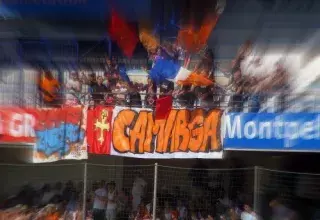 Supporter montpelliérain, Narpe avait envahi la pelouse, samedi soir, avant d'être amené dans une salle du stade de la Mosson, à huis-clos. (DR)