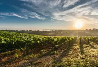 Une dynamique qui ouvre la voie à de multiples collaborations avec les professionnels du vin.