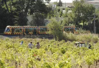Le jury a salué la belle alliance de la ville et de la nature