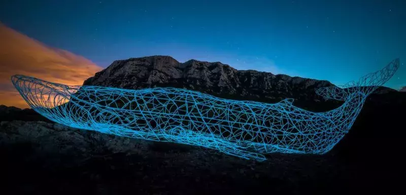 La baleine Aurora s'apprête à un grand voyage méditerranéen, de l'Hérault jusqu'aux Bouches-du-Rhône. (© David Parenteau)