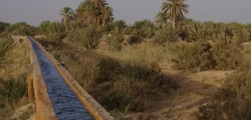 la rencontre ambitionne de contribuer à l'amélioration des rotations des cultures et de l'agriculture de conservation... (DR)