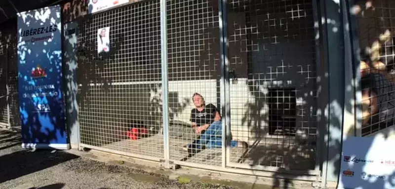 Avant même d’être aujourd’hui enfermé dans une cage de la SPA de Montpellier en direct live vidéo sur Facebook, Rémi Gaillard était déjà parvenu à augmenter le taux d’adoption des animaux accueillis suite à leur abandon. 