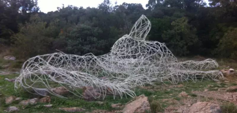 La nouvelle est tombée comme un coup de fusil, pour l'artiste Thomas Monin : "L'Evidence", le loup du Pic Saint-Loup a été abattu sans aucun coup de semonce par un vandale. 