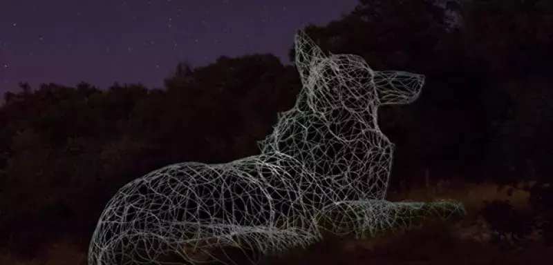 "L’évidence", de Thomas Monin, est à voir jour et nuit, sur le sentier du Pic Saint-Loup,  dans le cadre de l’évènement culturel "Aux bords des Paysages, métaphore" organisé par la Communauté des Communes du Grand Pic Saint-Loup, en Languedoc-Roussillon.