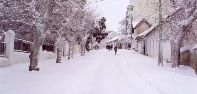 Tunisie : vague de froid et chutes de neige dans plusieurs régions