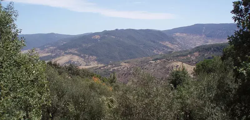 es groupes armés disposent dans cette zone montagneuse de camps d'entrainement et de nombreuses caches... (DR)