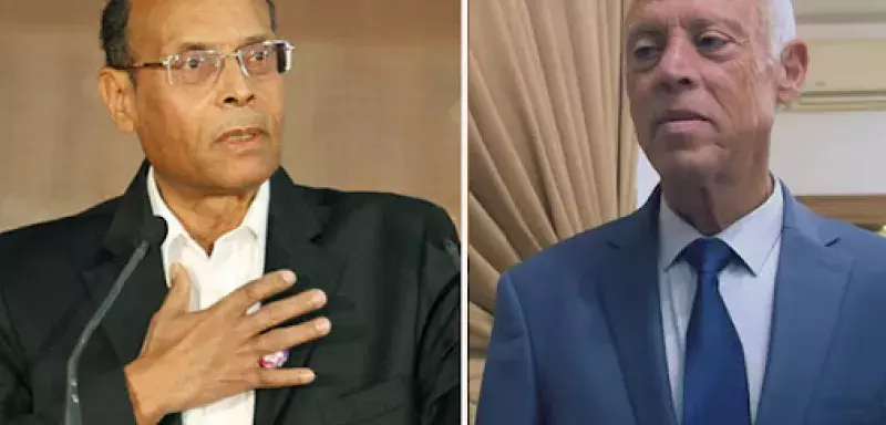 Moncef Marzouki accusé d’avoir eu des déclarations « allant à l’encontre de la sûreté de l’Etat et nuisant aux intérêts de la Tunisie à l’étranger »