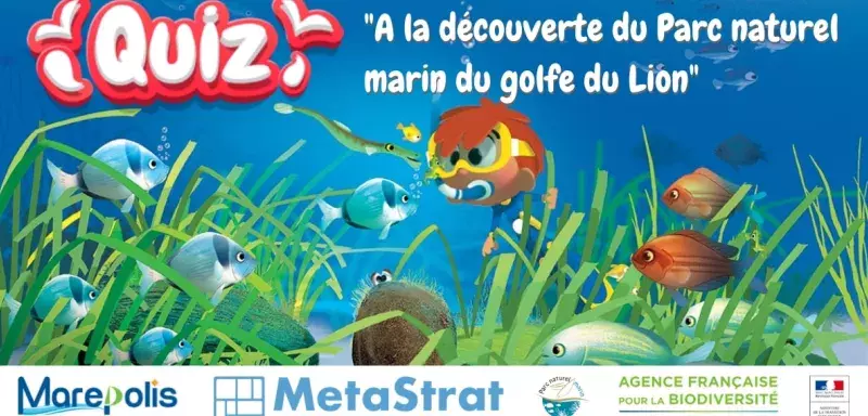 Jeu de quiz marin par MetaStrat