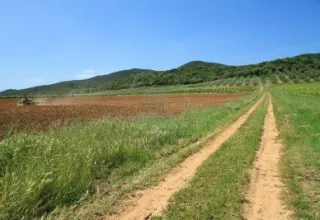 La représentation de la Commission européenne à Rome a souligné que c'était aux «pays membres d'empêcher et de gérer les illégalités et de récupérer les aides indûment perçues»... (DR)