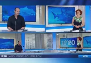 Membre du Groupe de Recherche sur les Requins de Méditerranée, Nicolas Ziani sur le plateau du 19-20, le JT de France 3 Languedoc-Roussillon, ce jeudi 7 mai. (Capture d'écran)