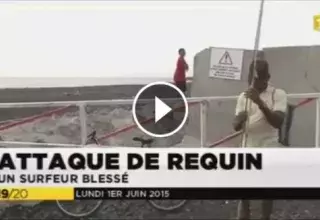 Bilan : c'est la troisième attaque de requins depuis début 2015 sur l’Île de la Réunion qui en dénombre désormais 17 ces quatre dernières années, dont 7 de mortelles. (Capture d'écran)