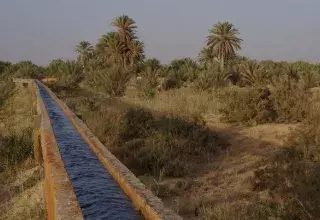 la rencontre ambitionne de contribuer à l'amélioration des rotations des cultures et de l'agriculture de conservation... (DR)