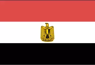 egypteelection.png