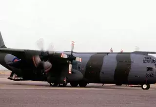 l'avion de type Hercule C130 s'est écrasé à Oum El Bouaghi... (DR)