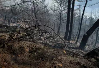 libanincendie.jpg