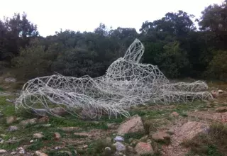 La nouvelle est tombée comme un coup de fusil, pour l'artiste Thomas Monin : "L'Evidence", le loup du Pic Saint-Loup a été abattu sans aucun coup de semonce par un vandale. 