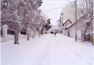 Tunisie : vague de froid et chutes de neige dans plusieurs régions