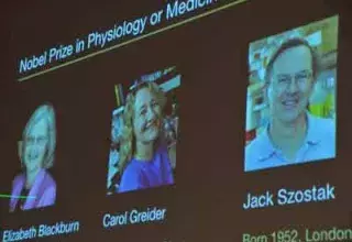 nobel.jpg