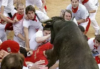 38 passionnés des lâchers de taureaux dans les ruelles de Pampelune ont été blessés durant les fêtes traditionnelles de la San Fermin .(DR)