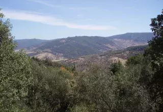 es groupes armés disposent dans cette zone montagneuse de camps d'entrainement et de nombreuses caches... (DR)