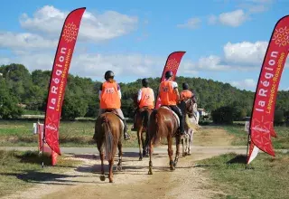 A Uzès, le grand public pourra admirer, gratuitement comme chaque année, une large sélection de chevaux d’exception.