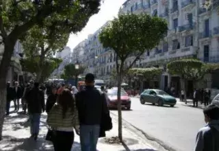 ruealgeco.jpg