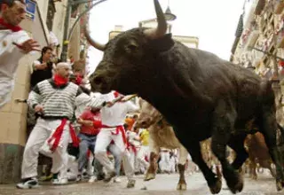 Le lâcher de taureaux est toujours aussi prisé, mais les spectateurs et les touristes font très attention aux dépenses (DR)