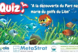 Jeu de quiz marin par MetaStrat