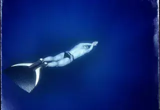 Partons à la rencontre des espèces de requins et de raies de la Méditerranée avec l’Odyssée Bleue de Stéphane Mifsud et l’expert Nicolas Ziani. (DR)